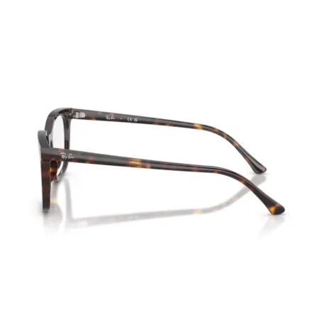 Ray-Ban ORX5446 2012